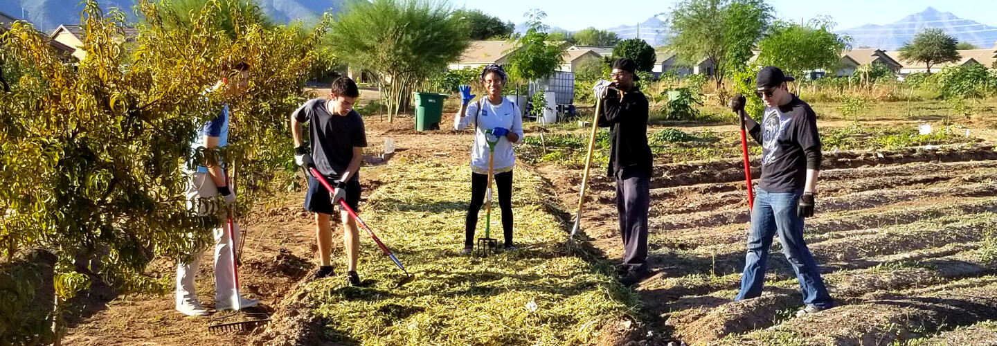 Group of volunteers at Spaces of Opportunity